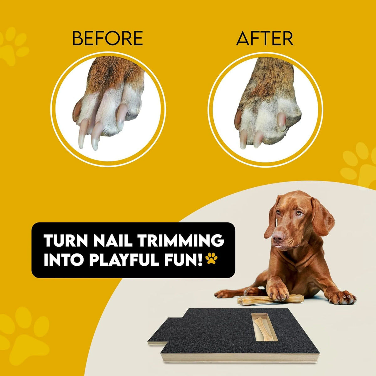 Dog Nail Scratch Board