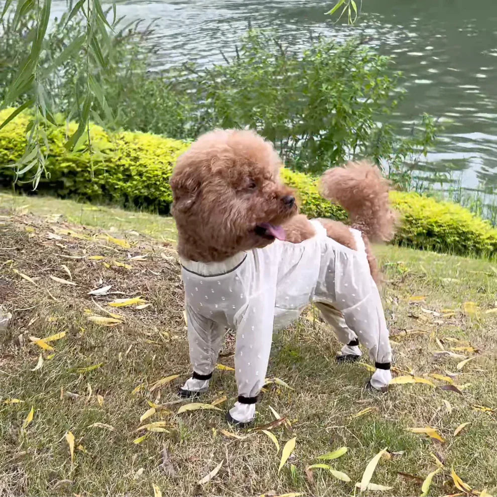 Underpaws Viral Anti-Dirt Pants