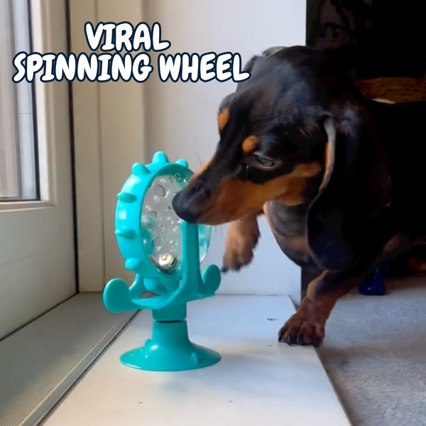 Viral Spinning Wheel