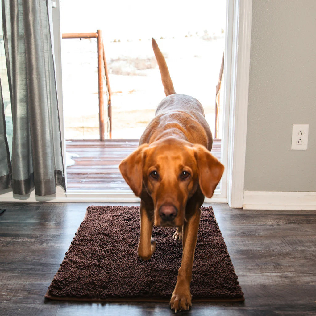 Clean Paw Mat | Dog Door Cleaning Mat (1+1 FREE)