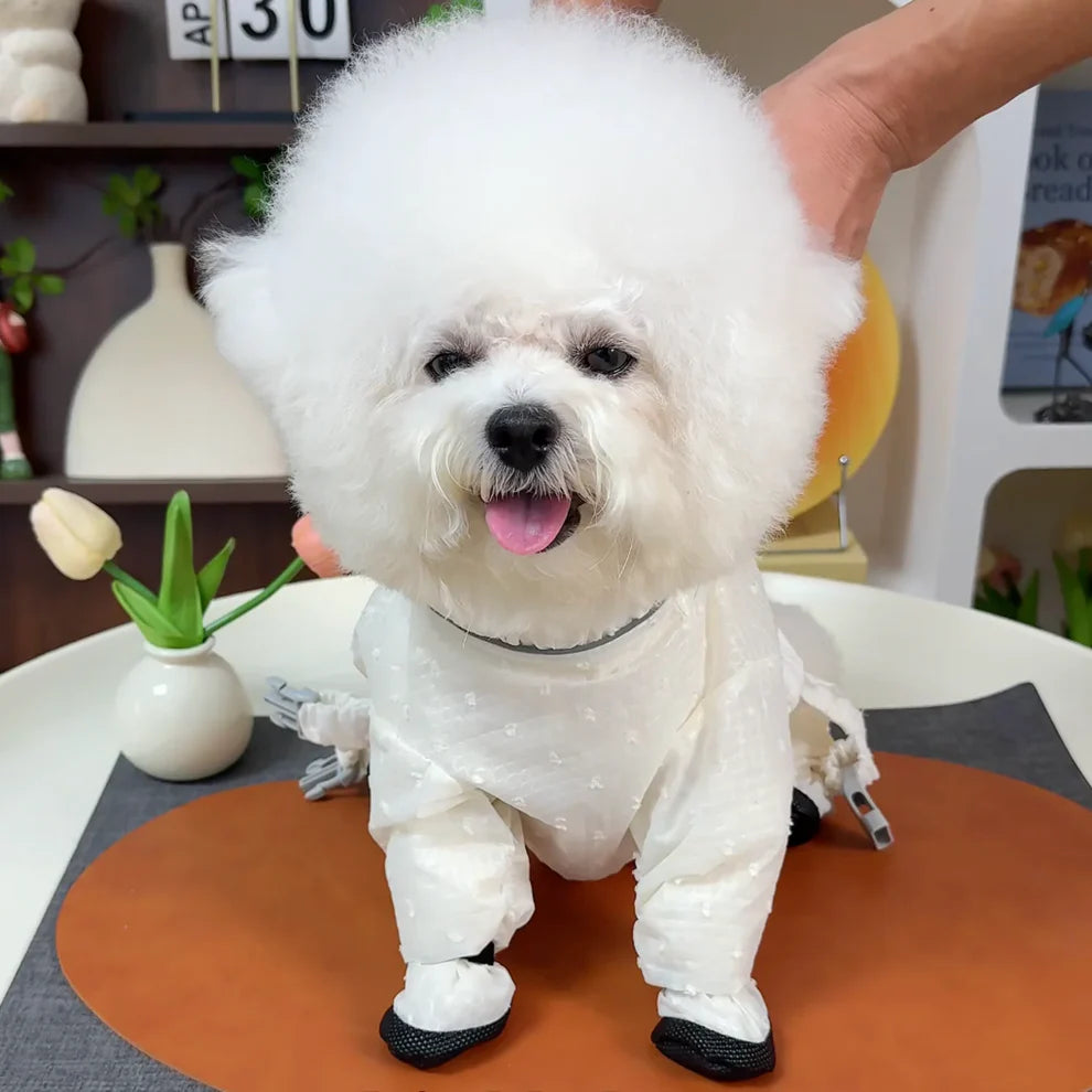 Underpaws Viral Anti-Dirt Pants