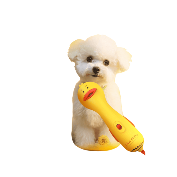 2 in 1 Hair dryer volumizing tool coat volumizing brush for soft coats