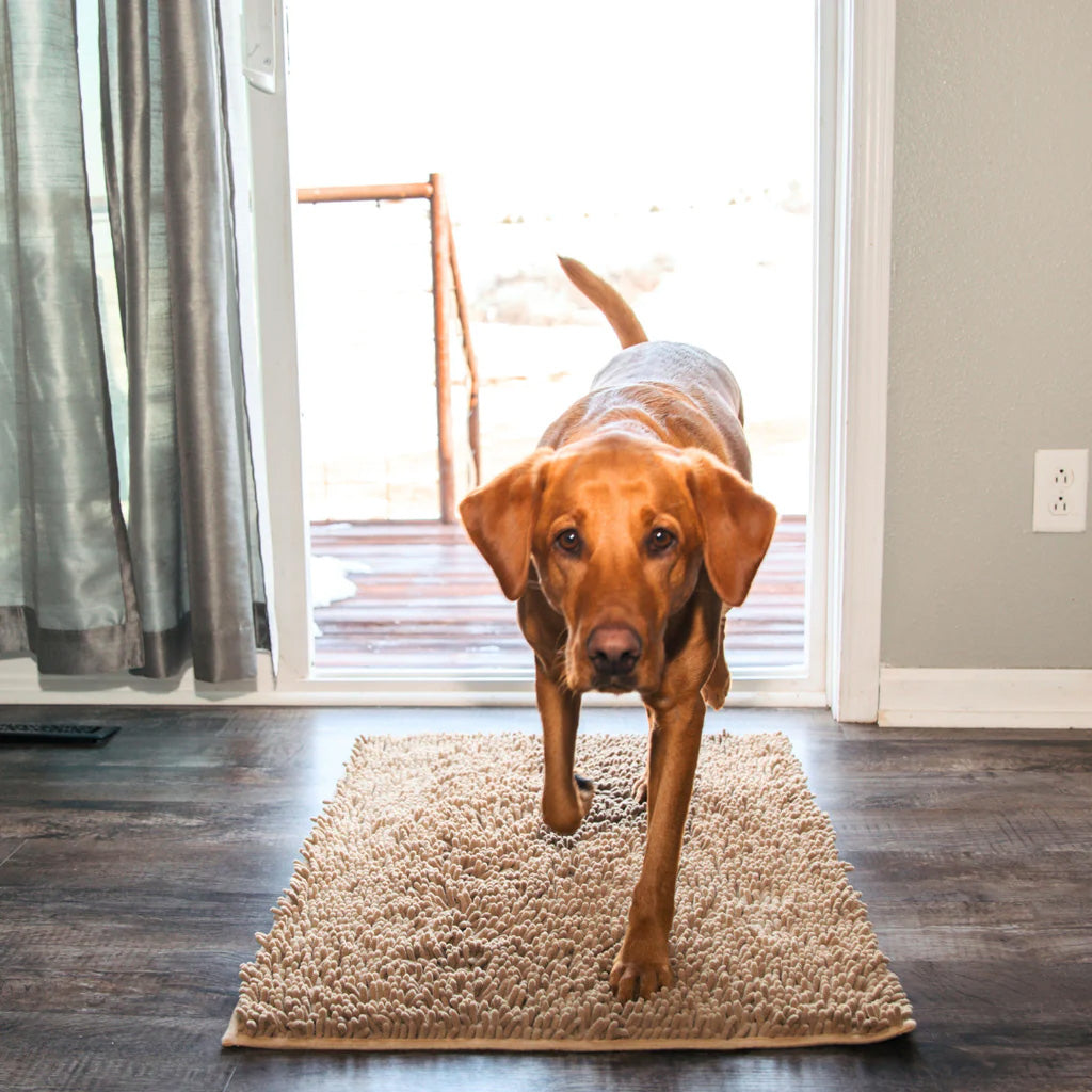 Clean Paw Mat | Dog Door Cleaning Mat (1+1 FREE)