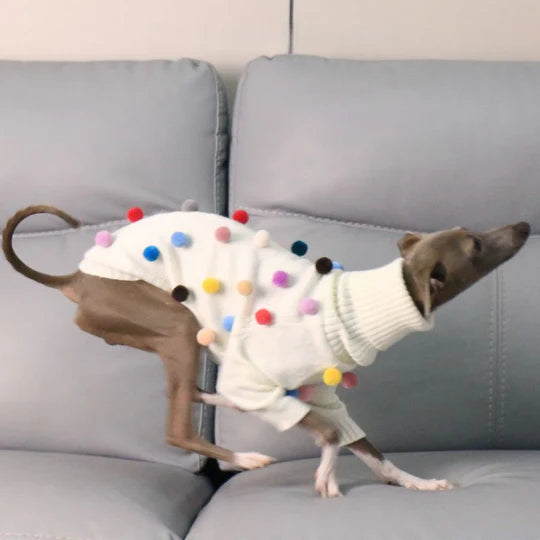 Turtleneck Knit Sweater with Pom-Poms for Italian Greyhound & Whippet