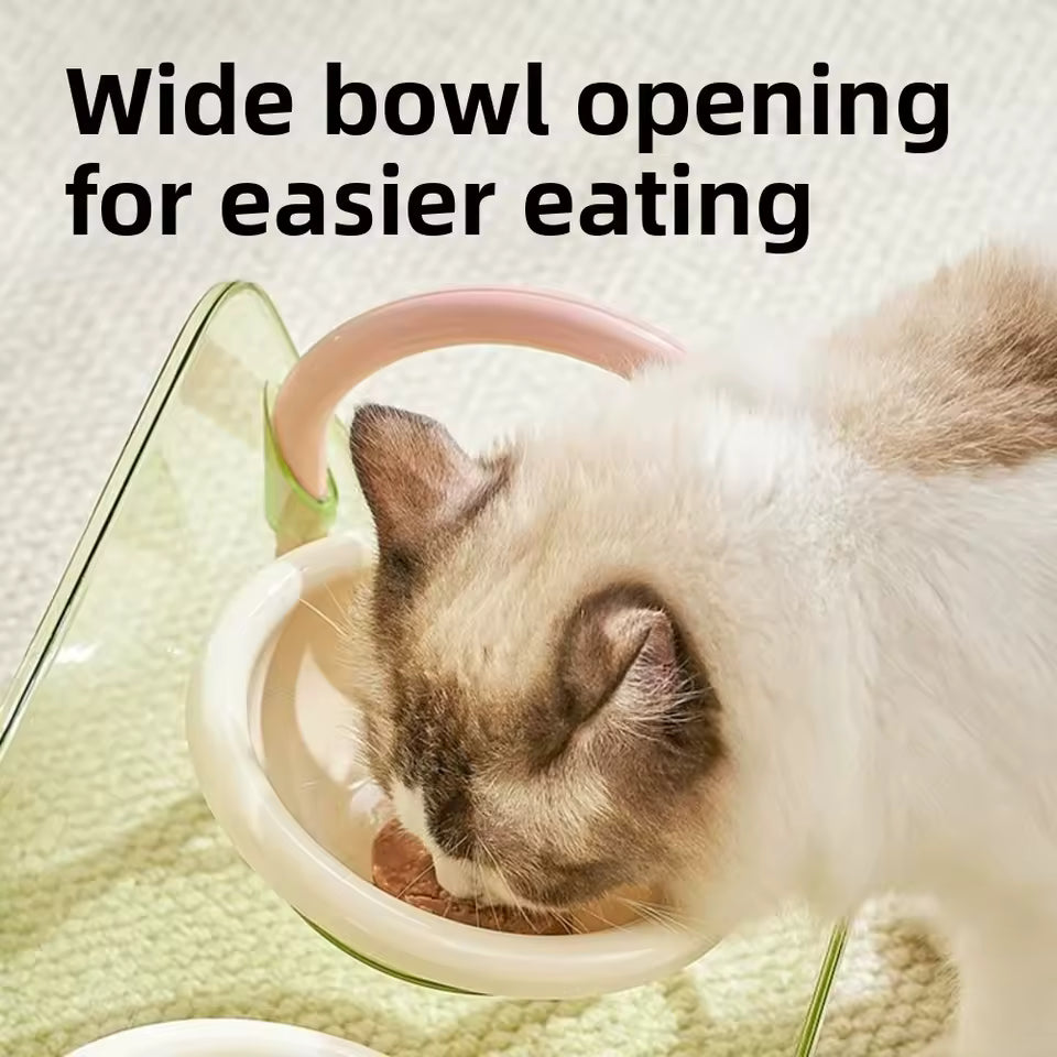 Anti Slip Dual Pet Bowl Set