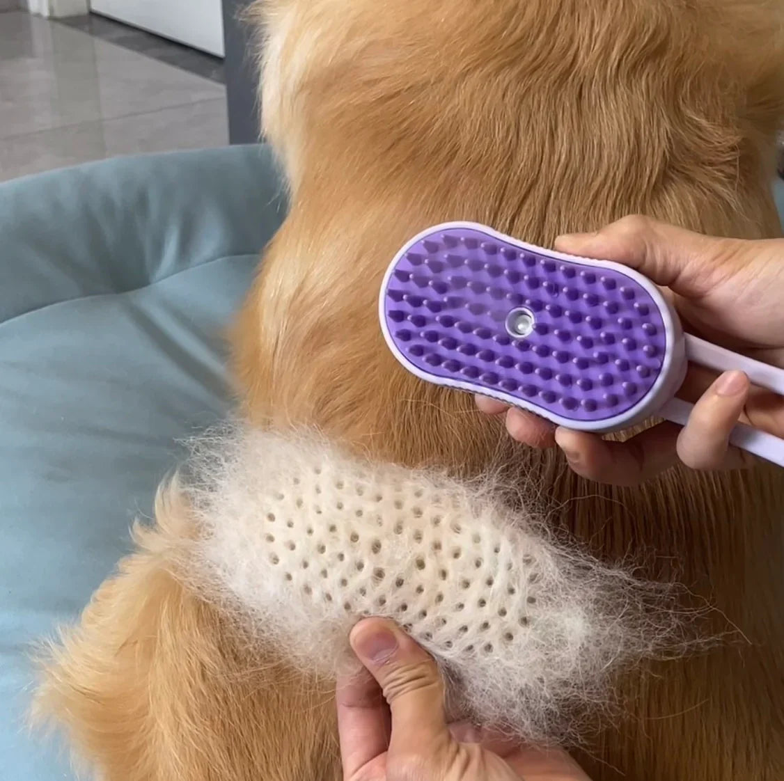 3 in 1 Steamy Pet Brush