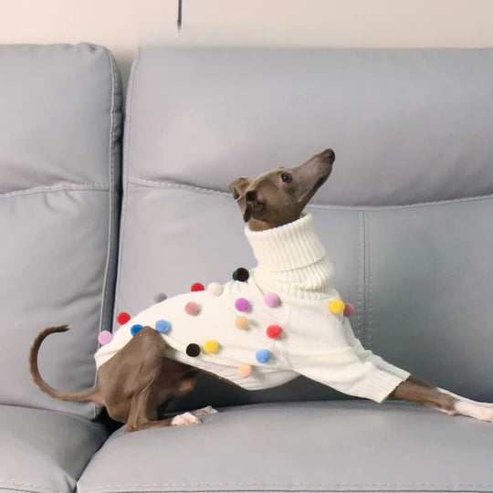 Turtleneck Knit Sweater with Pom-Poms for Italian Greyhound & Whippet