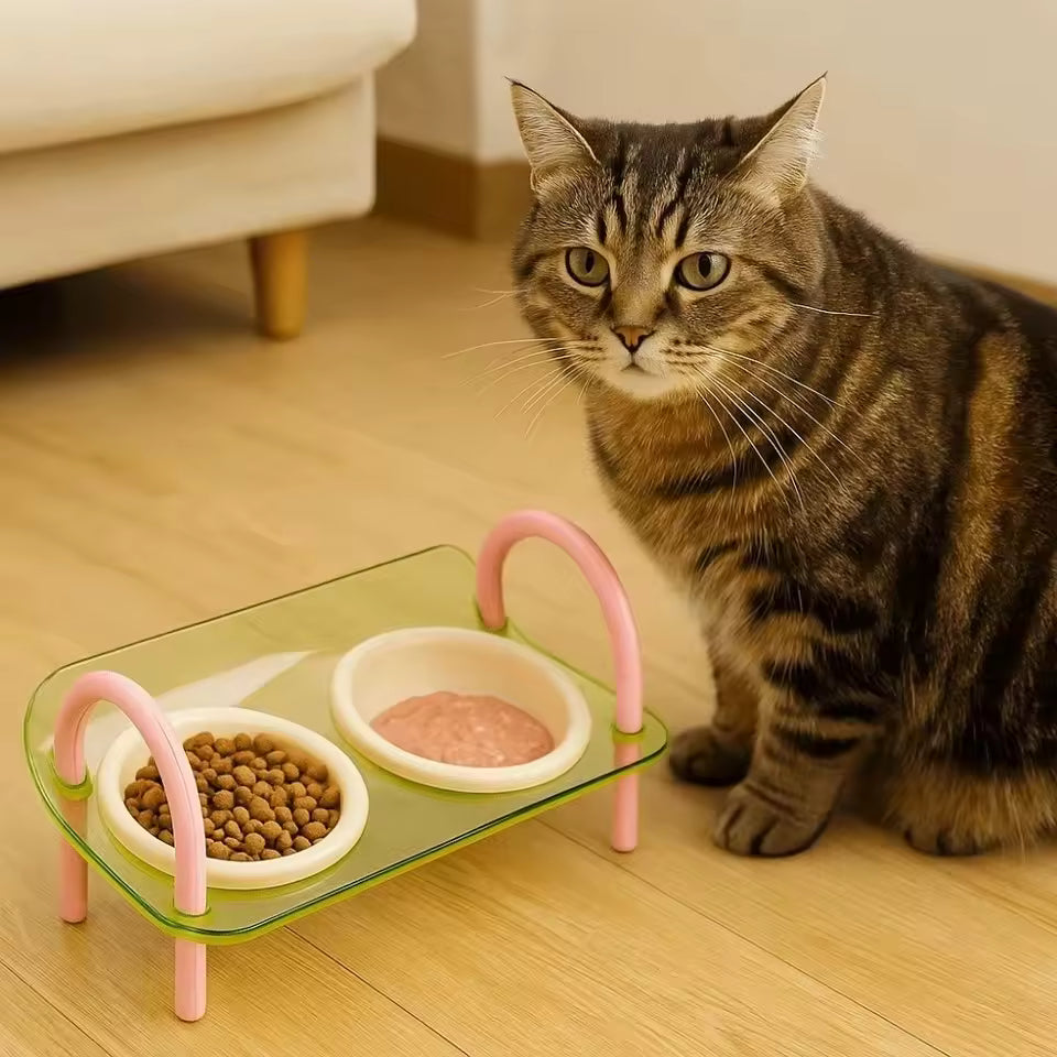 Anti Slip Dual Pet Bowl Set
