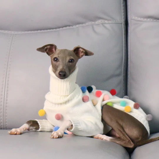 Turtleneck Knit Sweater with Pom-Poms for Italian Greyhound & Whippet