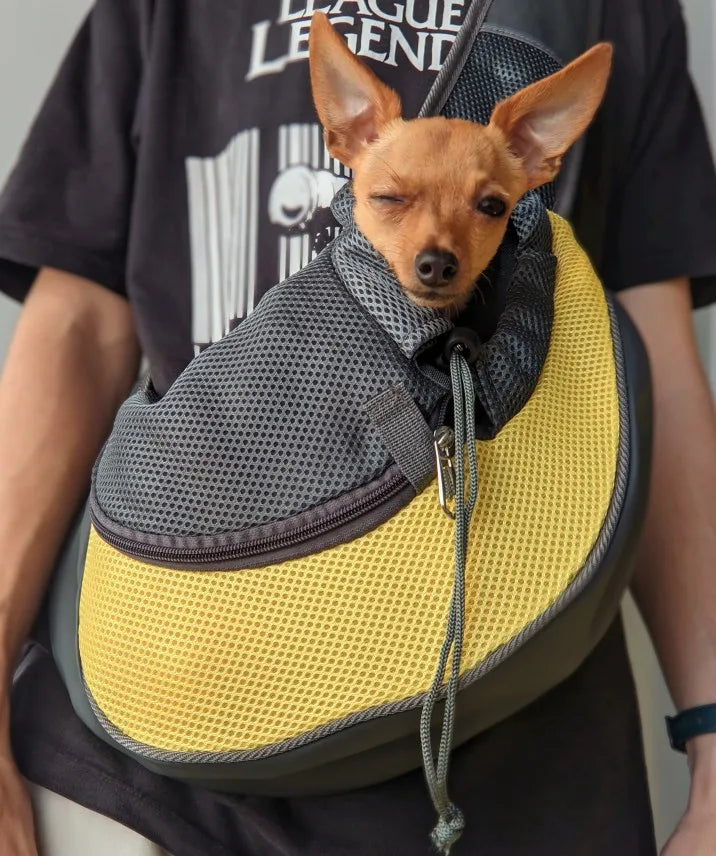 Dog sling bag