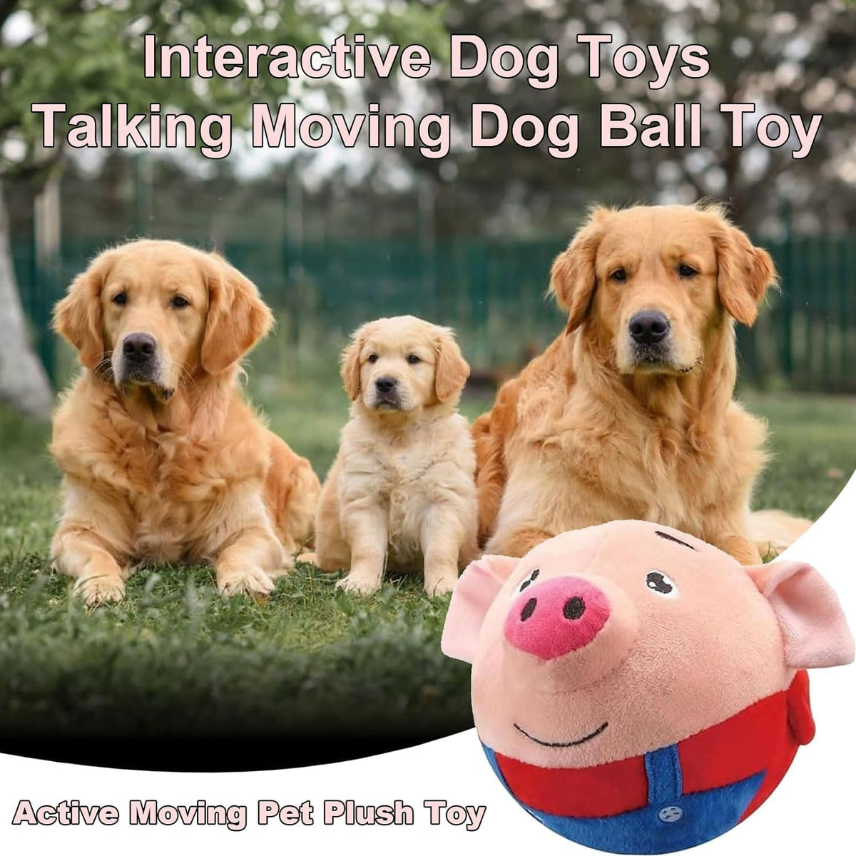 Jumping piggy ball | interactive toy ball