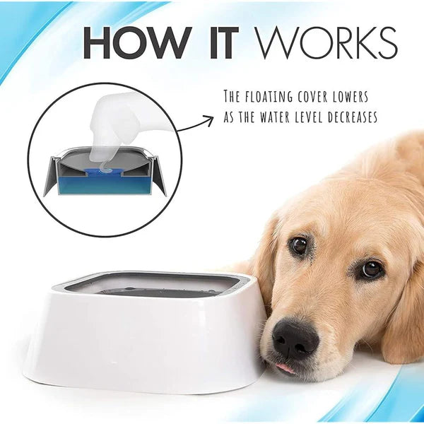 Anti-spill Bowl Dispenser
