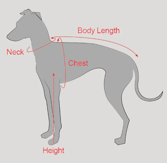 Turtleneck Knit Sweater with Pom-Poms for Italian Greyhound & Whippet