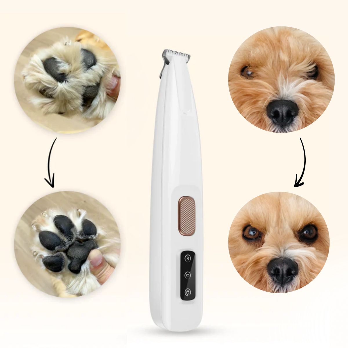 3 in 1 Electric Dog Trimmer