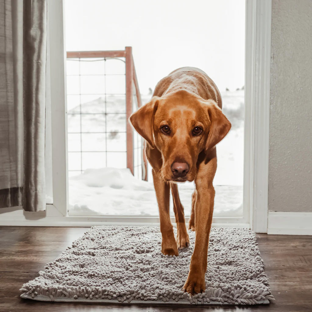 Clean Paw Mat | Dog Door Cleaning Mat (1+1 FREE)