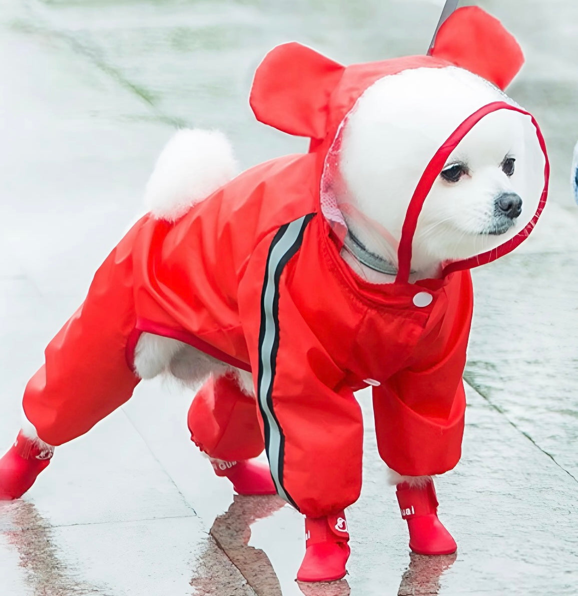 Puppy Raincoat™ (Small Breed’s)