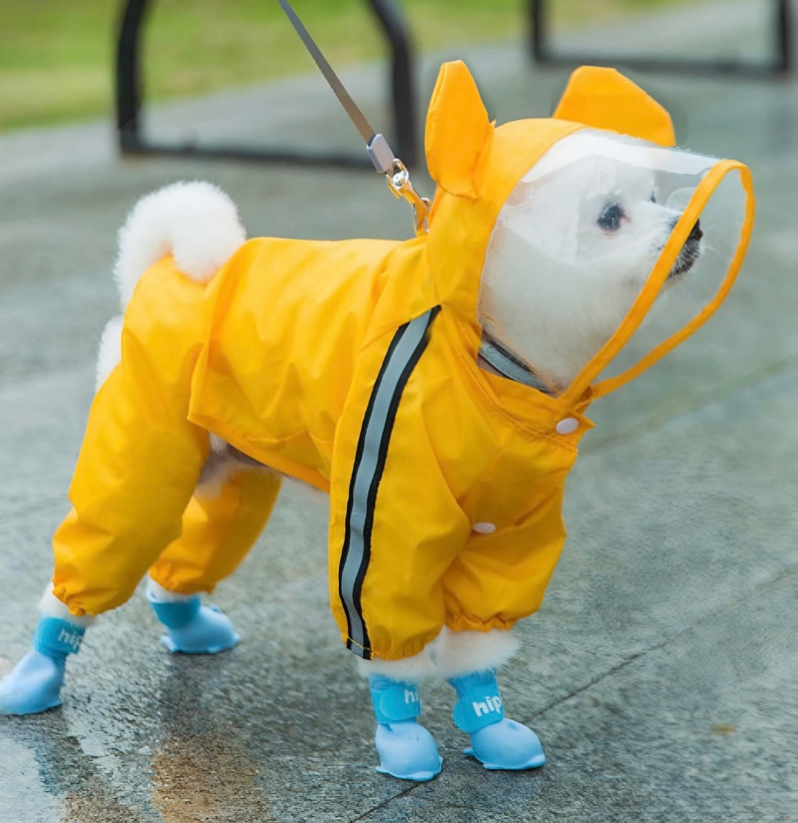 Puppy Raincoat™ (Small Breed’s)