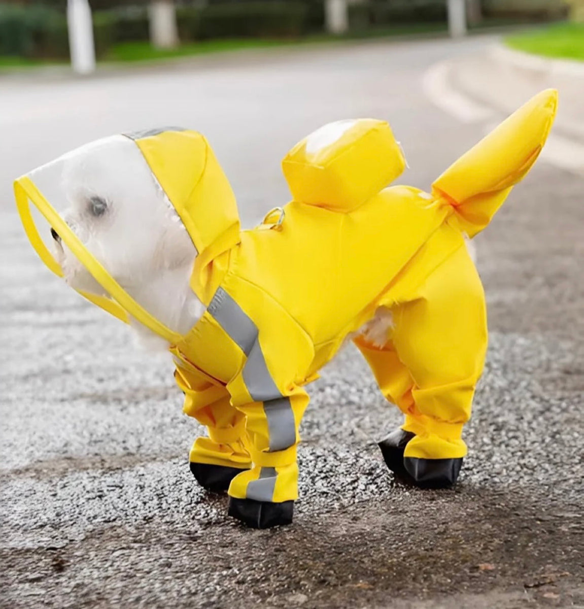 Puppy Raincoat™ (Small Breed’s)