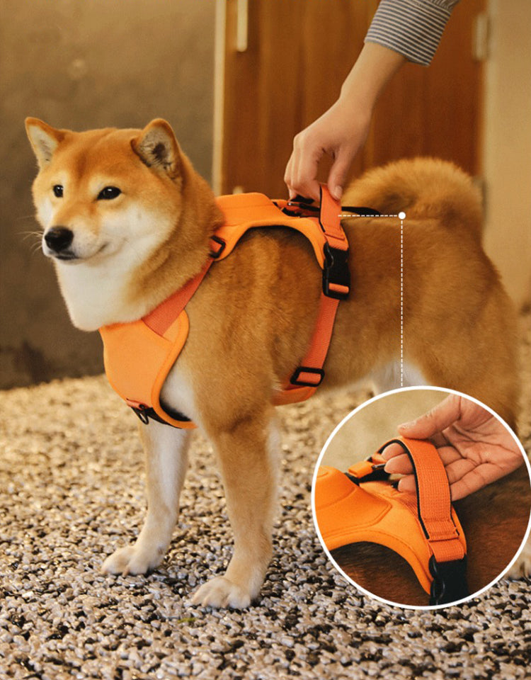 Adjustable Anti-Pull Harness For Dogs With Leash