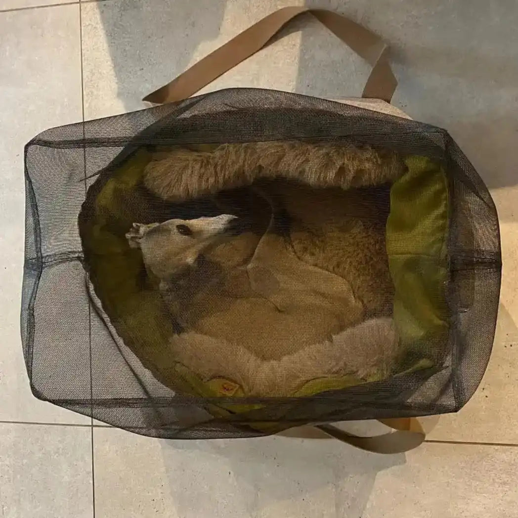 The CozyTravel™ Travel One Flight Bag