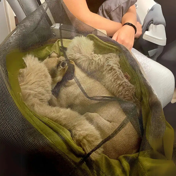 The CozyTravel™ Travel One Flight Bag