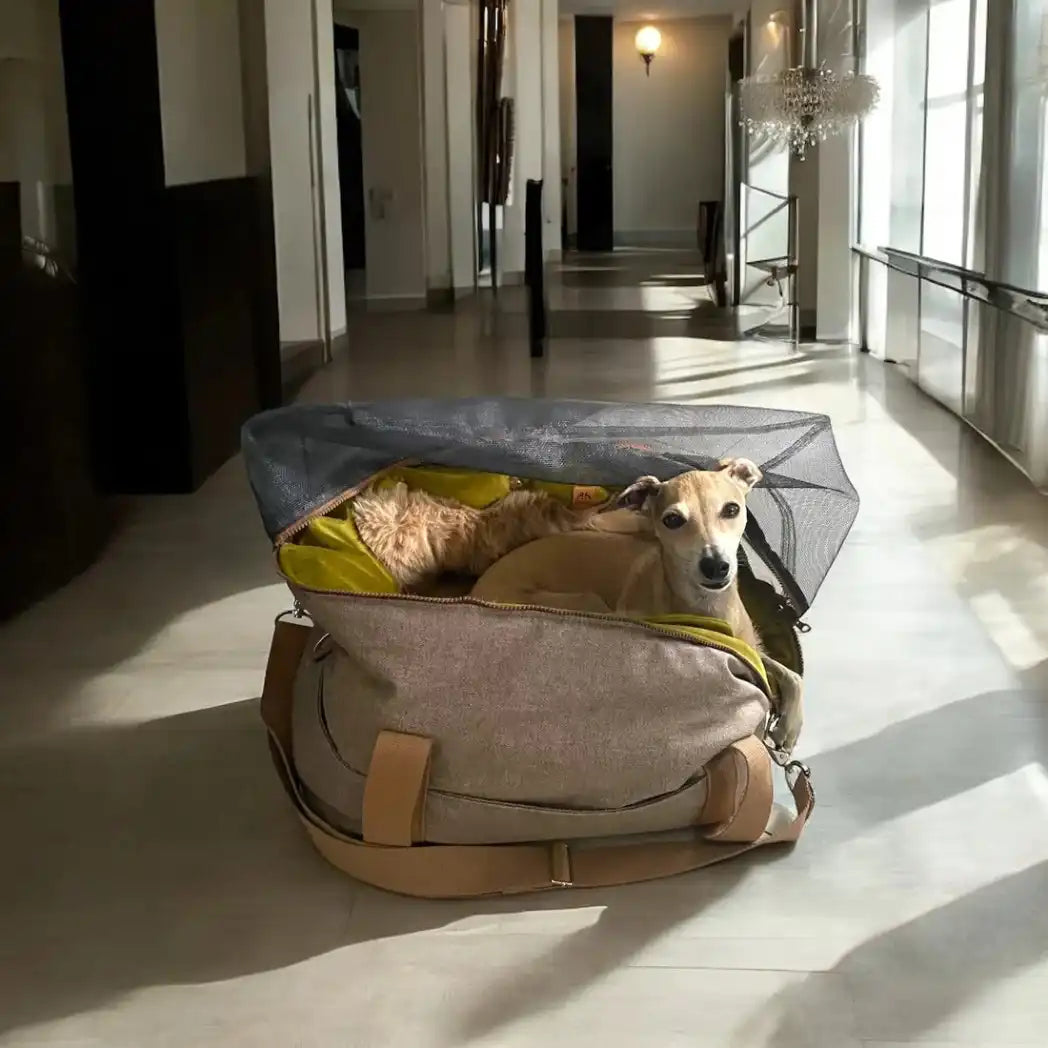 The CozyTravel™ Travel One Flight Bag