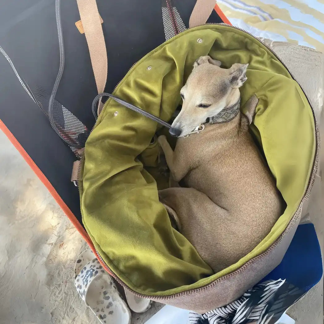 The CozyTravel™ Travel One Flight Bag