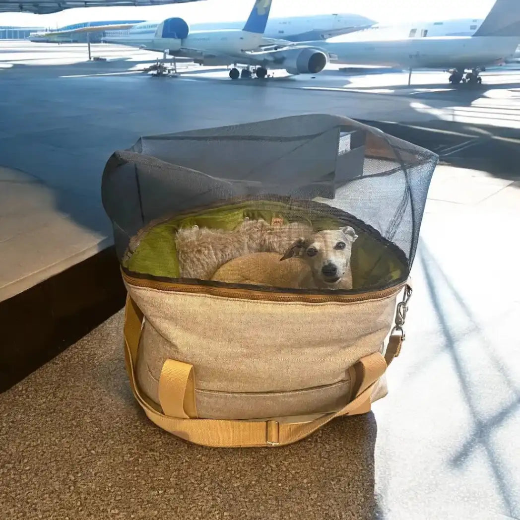 The CozyTravel™ Travel One Flight Bag