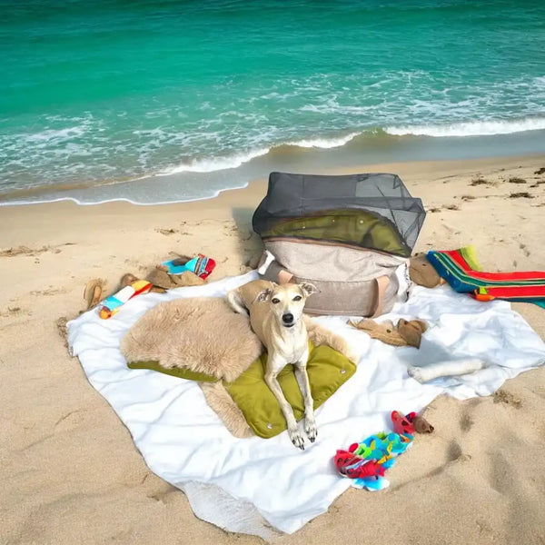 The CozyTravel™ Travel One Flight Bag