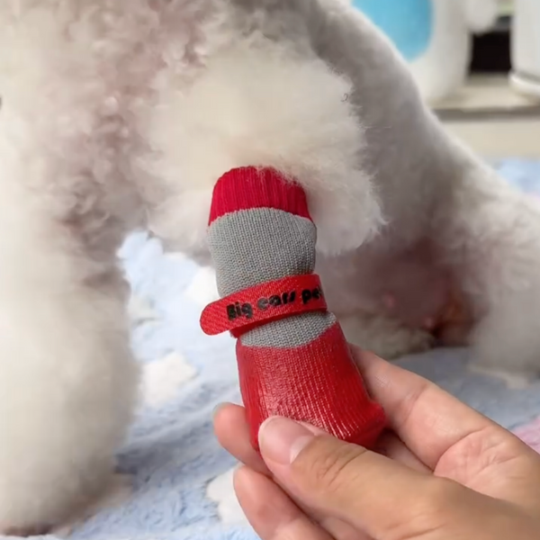 Winter Pet Boots