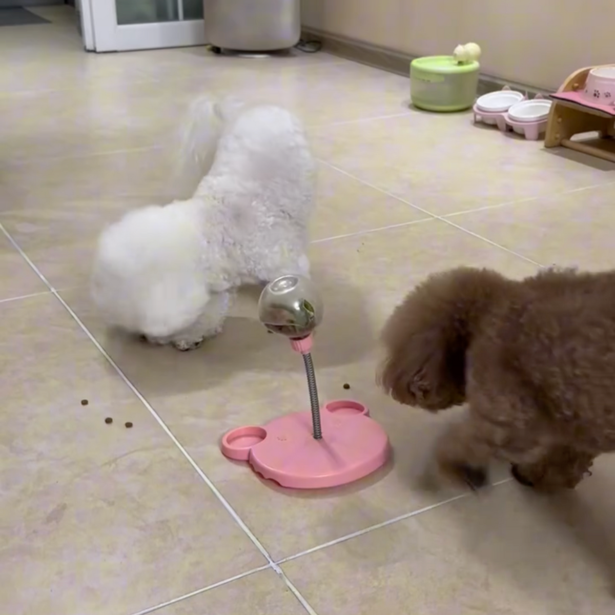 UnderPaws TreatBall Slow Feeder