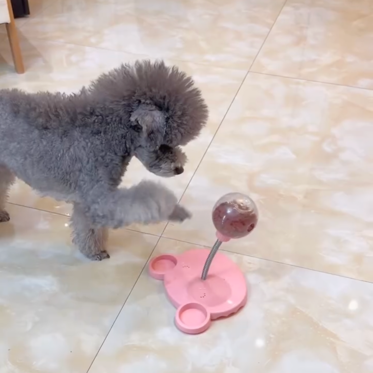 UnderPaws TreatBall Slow Feeder