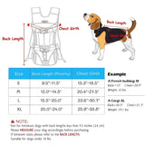 AdventurePaws Hands-Free Dog Front Carrier - Puparazzi Store