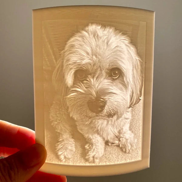 Memory Frame™ Personalized Night Light