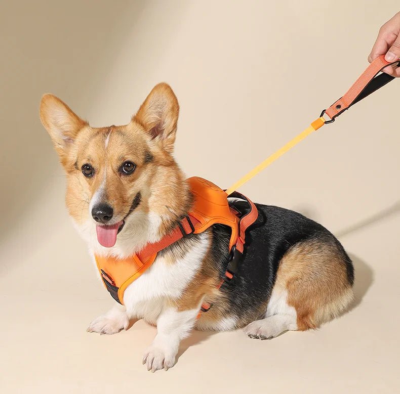 Adjustable Anti-Pull Harness For Dogs With Leash