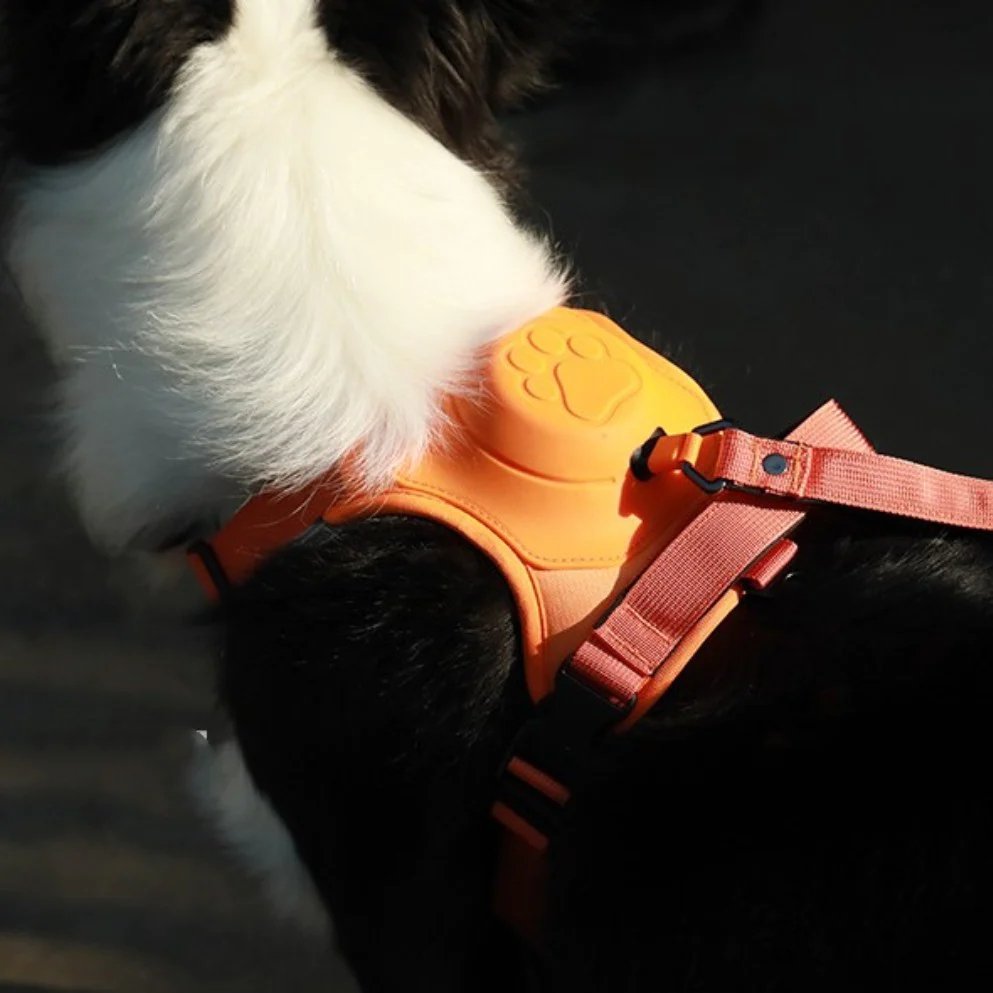 Adjustable Anti-Pull Harness For Dogs With Leash